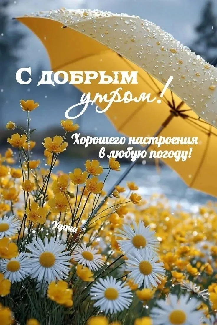 Доброе утро и самого бодрого дня вам, дорогие друзья!