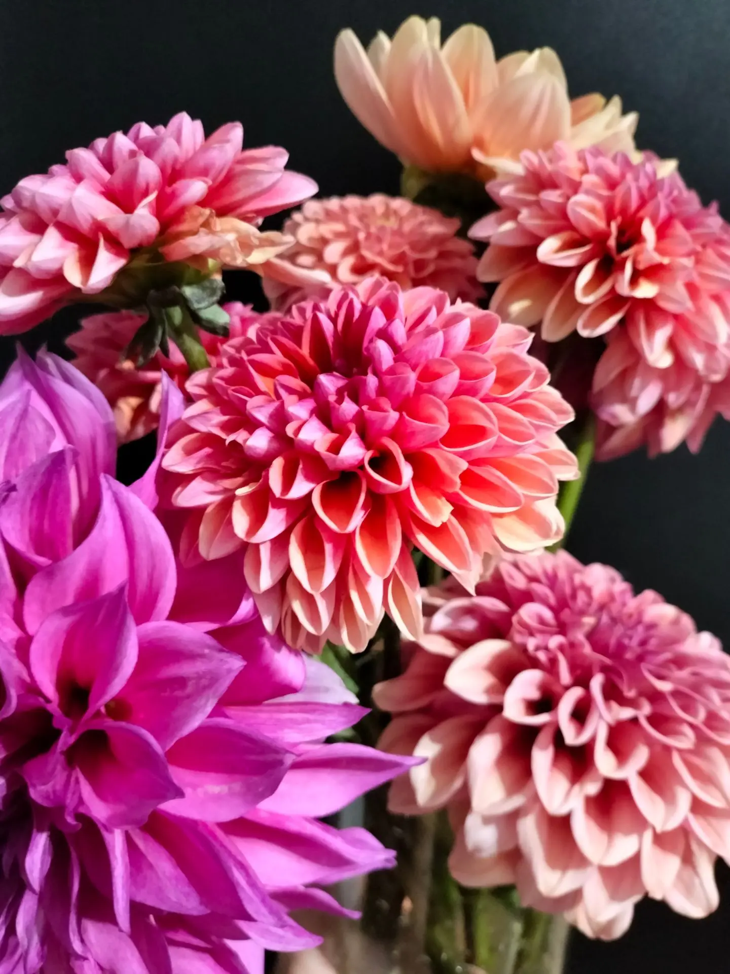 🌷 Доброе утро, дорогие друзья!
