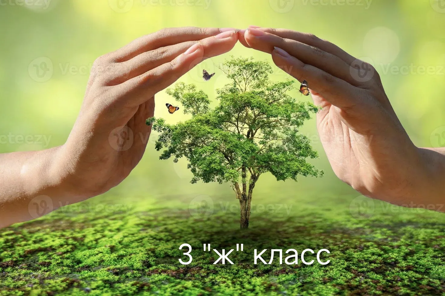 🌿 ЭКОЛОГИЧЕСКАЯ ВИКТОРИНА В 3 «Ж»!  В нашем 3 «Ж» классе прошла увлекательная экологическая викторин