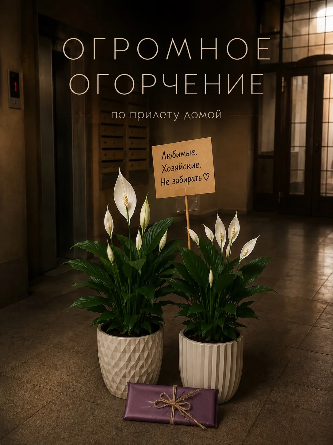 Спустя месяц в Египте я вернулась в Москву, где меня ждало ОГРОМНОЕ ОГОРЧЕНИЕ 😑