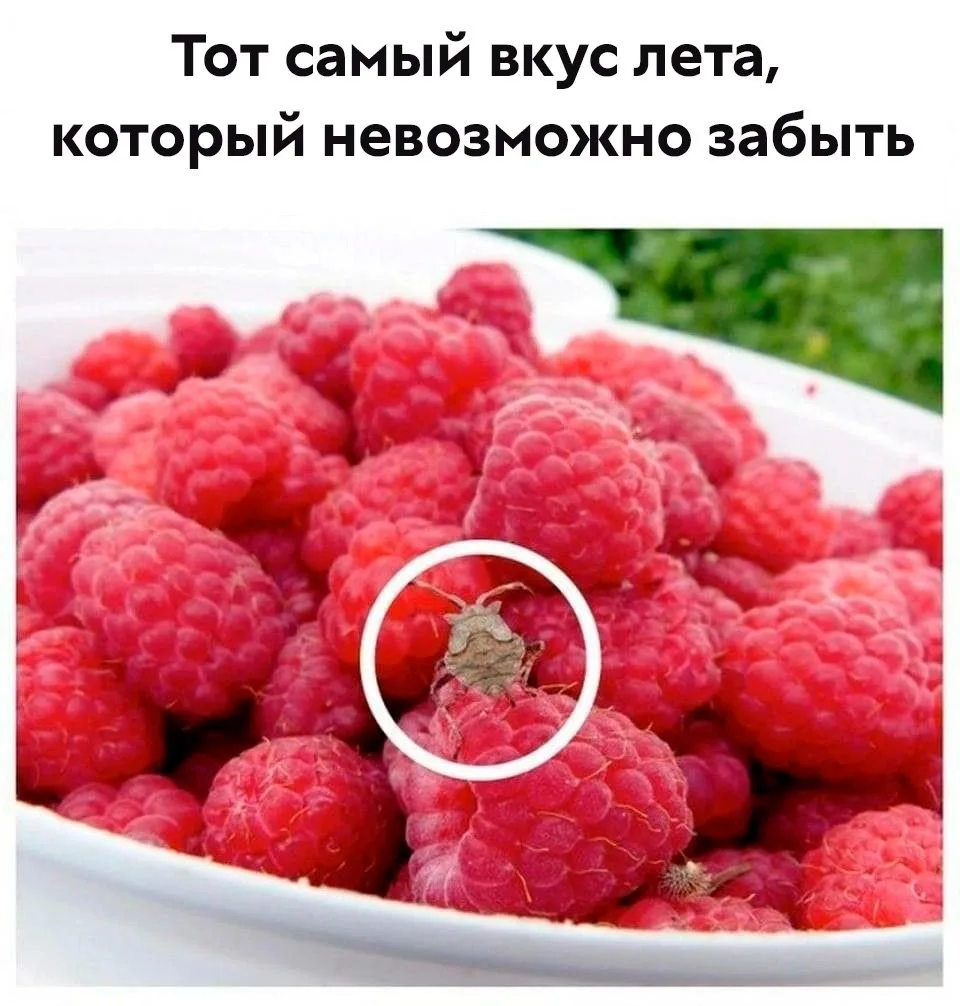 Узнали? 👀