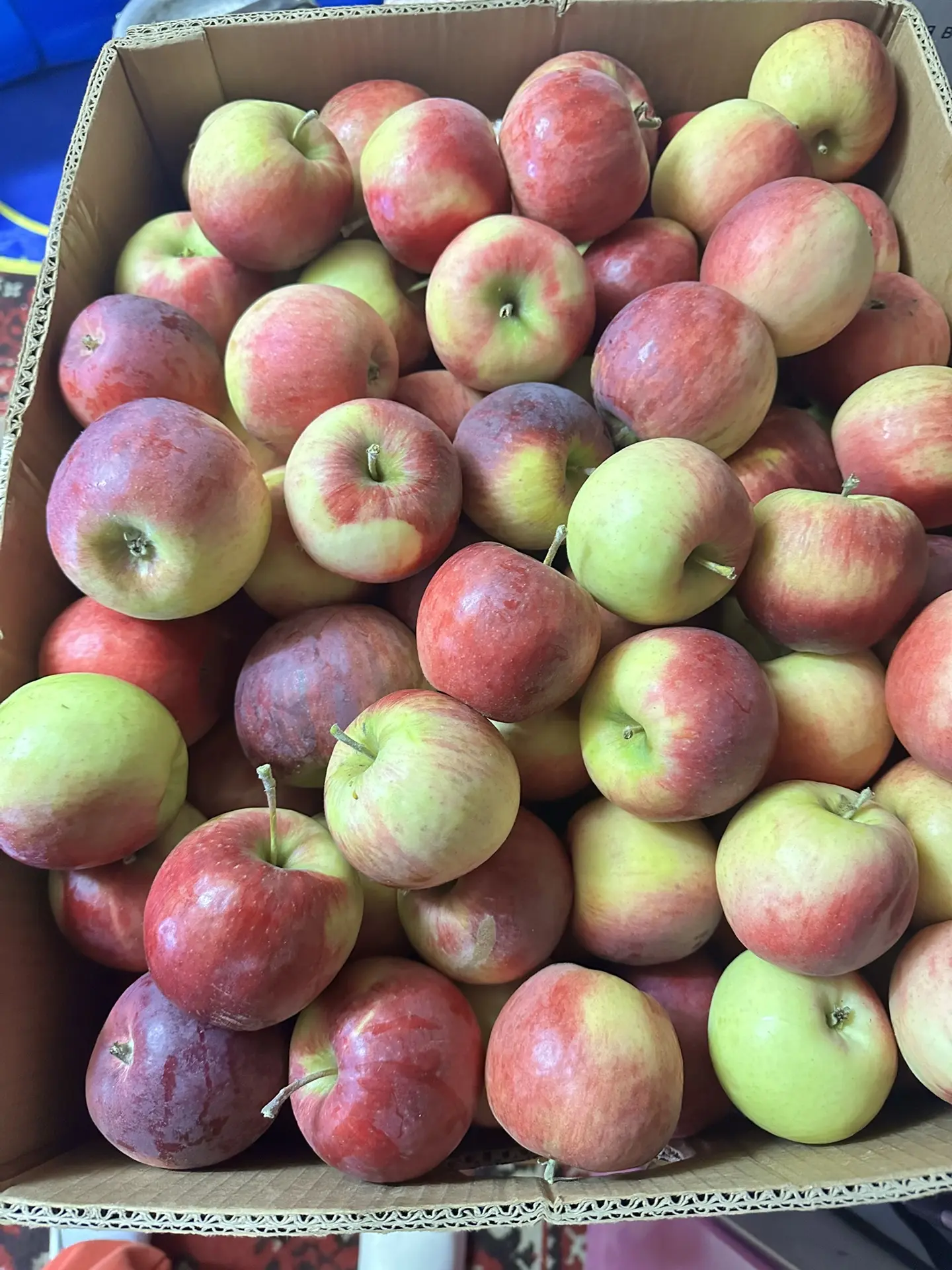 Вот яблочки 🍎🍏в зиму