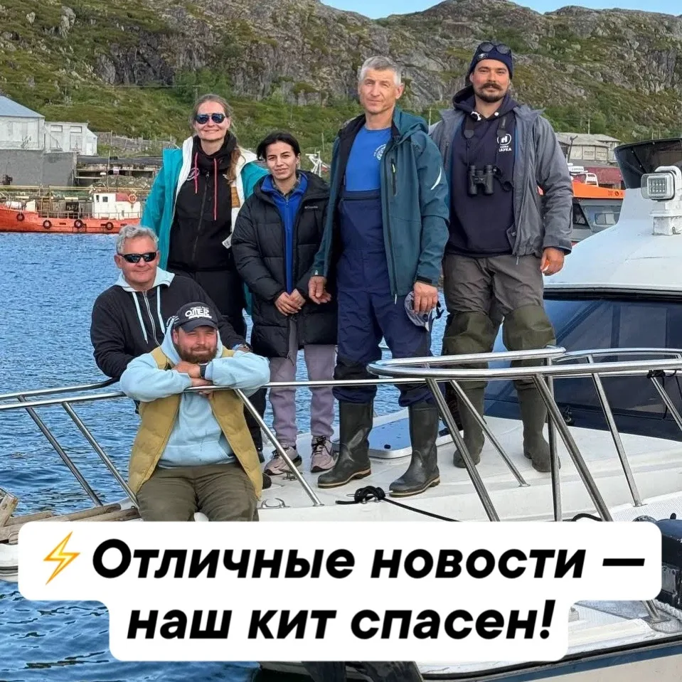 ⚡️ Кита освободили из смертельной ловушки!

У берегов Мурманской области спасли кита, который запута