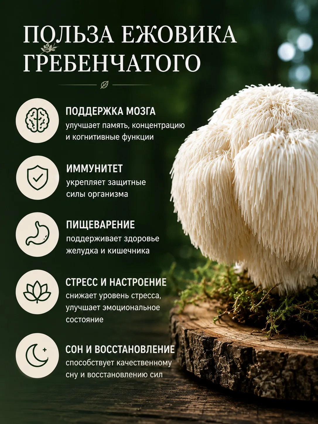Миссия: выспаться осенью🥱😴😴