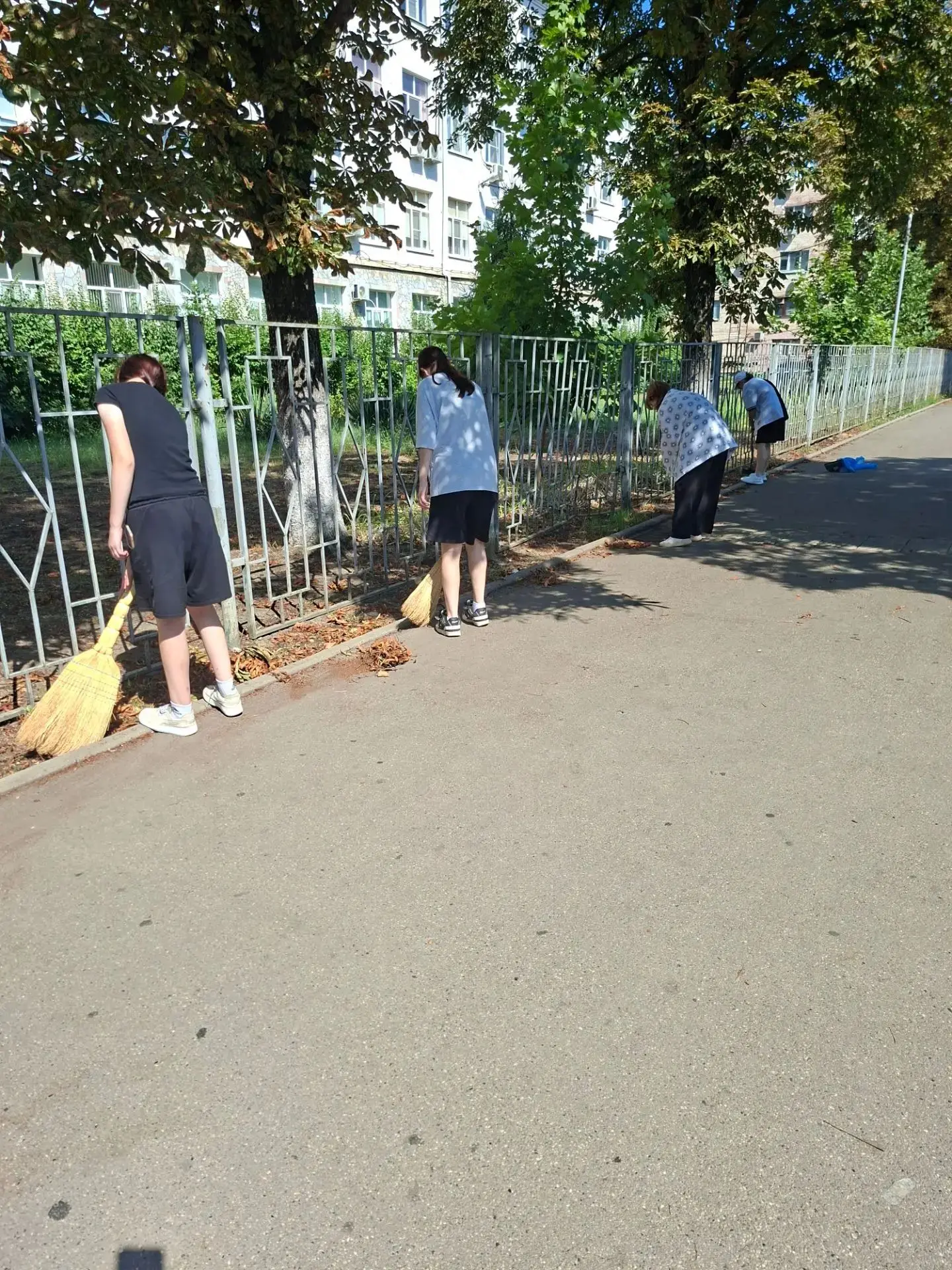 В МАОУ СОШ10 продолжается летняя трудовая практмка. Учащиеся 8Б класса приводят в порядок пришкольну