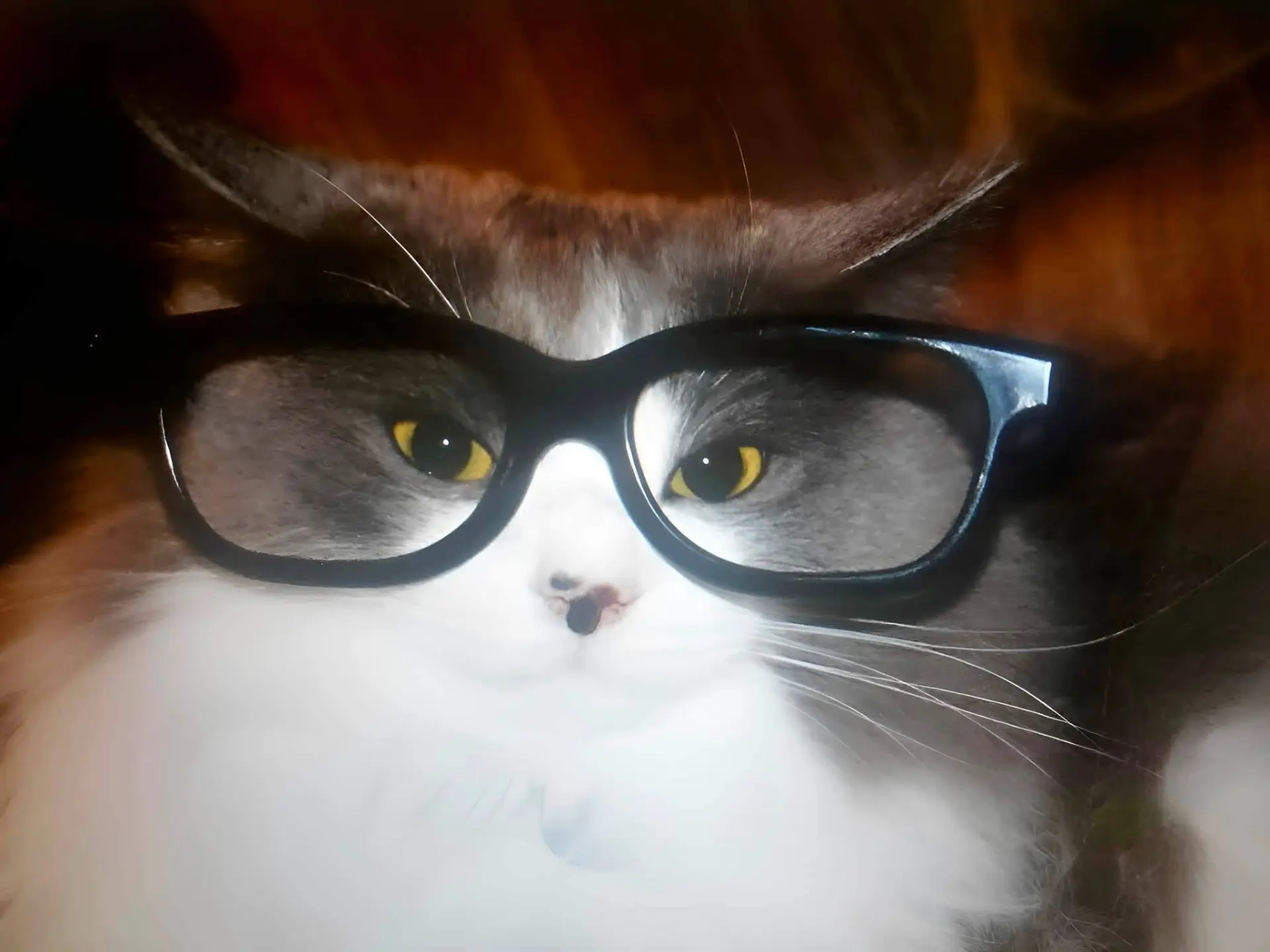 🤓