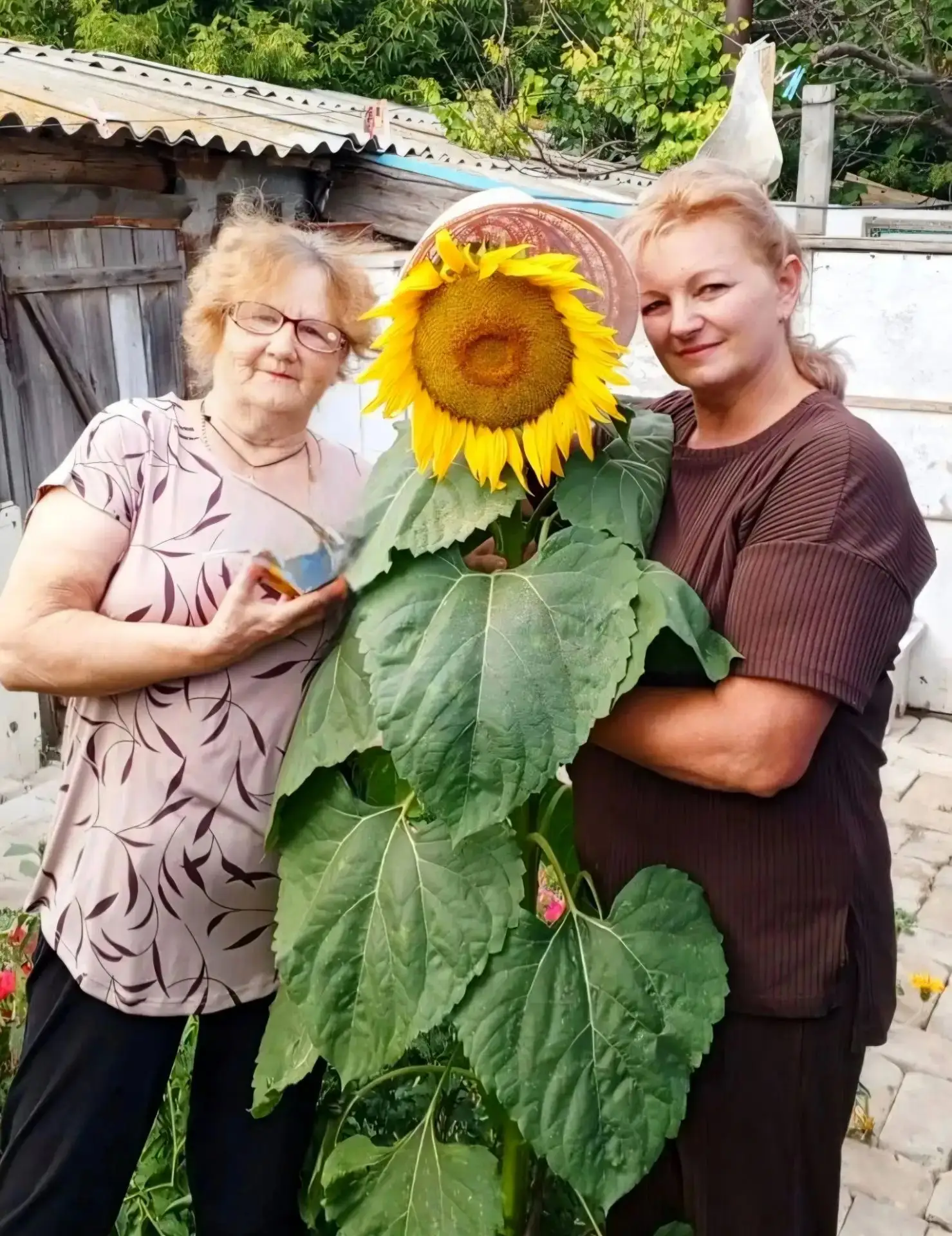 Социальные работники Центра социального обслуживания населения Дергачёвского района  п....