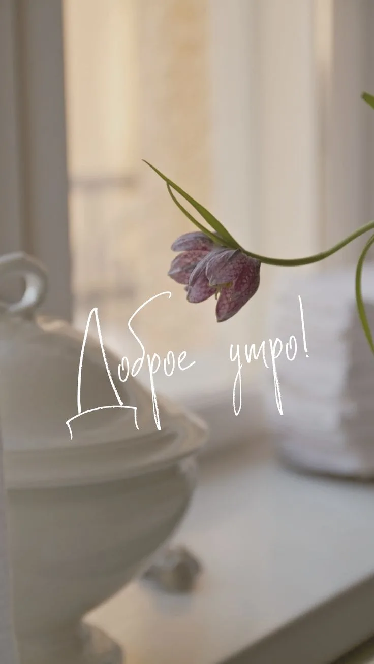 ☀️ Доброе утро!