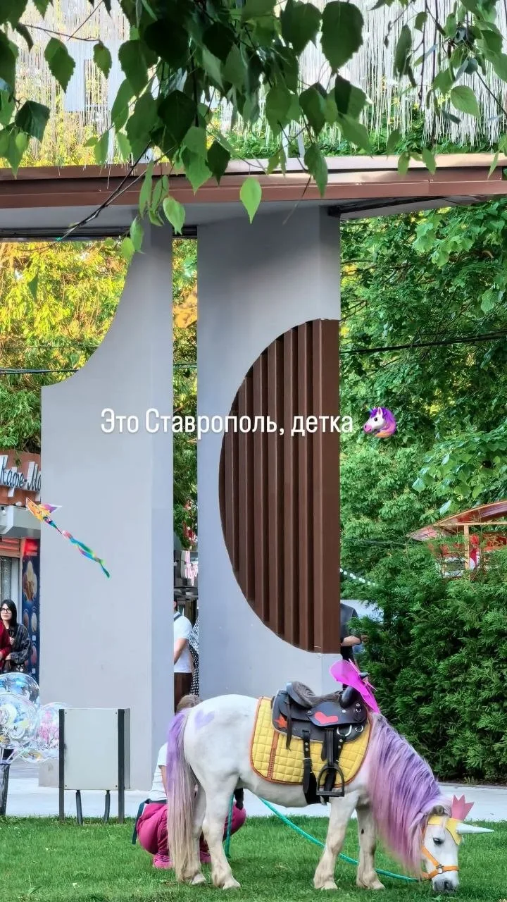 🦄🌟Ставрополь - город, где можно себя почувствовать, как в сказке