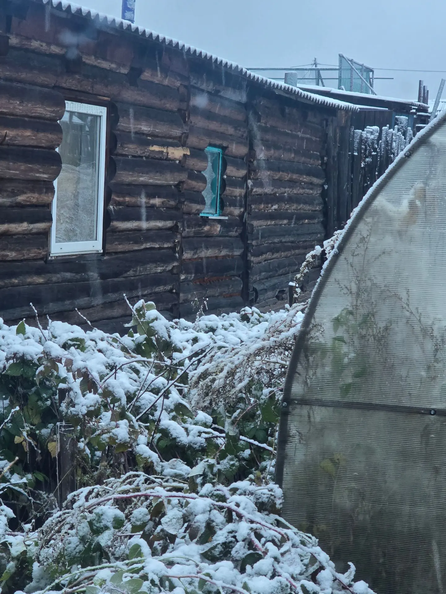Проснулась я значится водички попить и ахренела