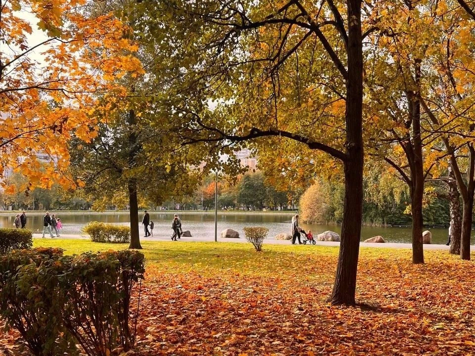 🍂 Красивое осеннее фото парка «Ангарские пруды»