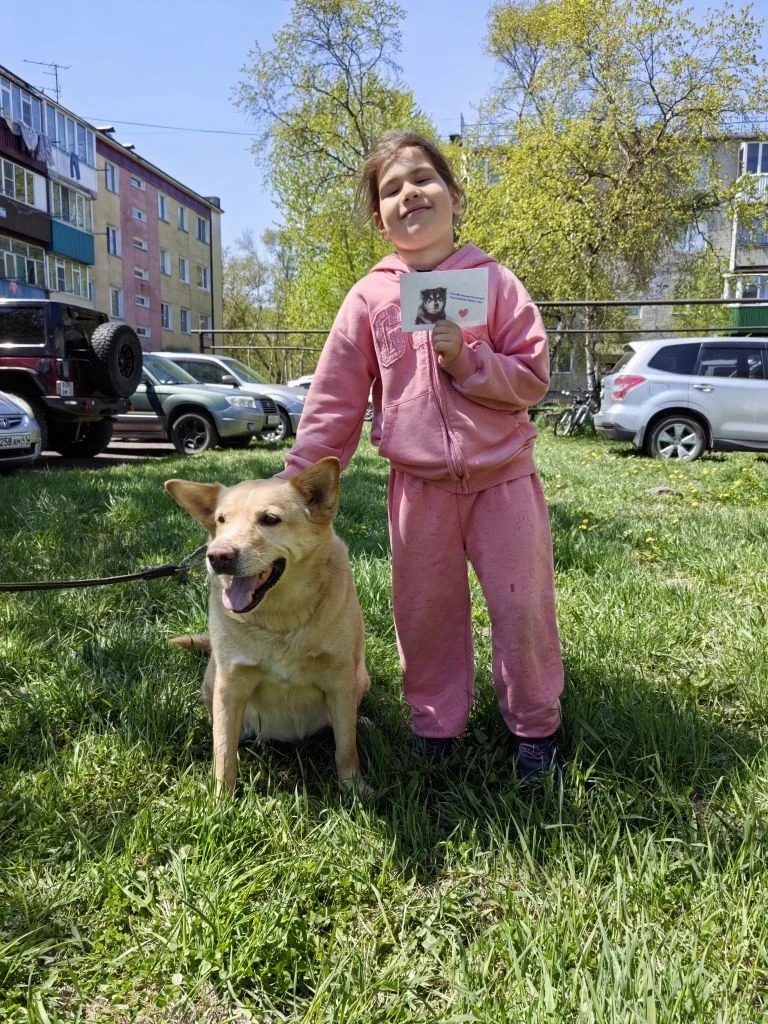 Продолжение истории «Маленькие носики» 🐾➡️

Вы спросили: «А что дальше?»

Отвечаем:
📦 Помощь перед