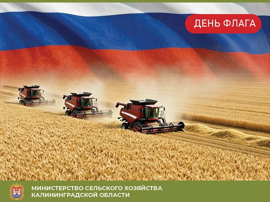 🇷🇺🎉С Днём государственного флага Российской Федерации!