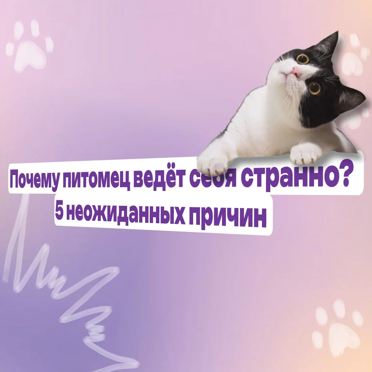 🤔Ловит мух в пустом углу. Ест траву. Катается по полу. Прячется под кровать.