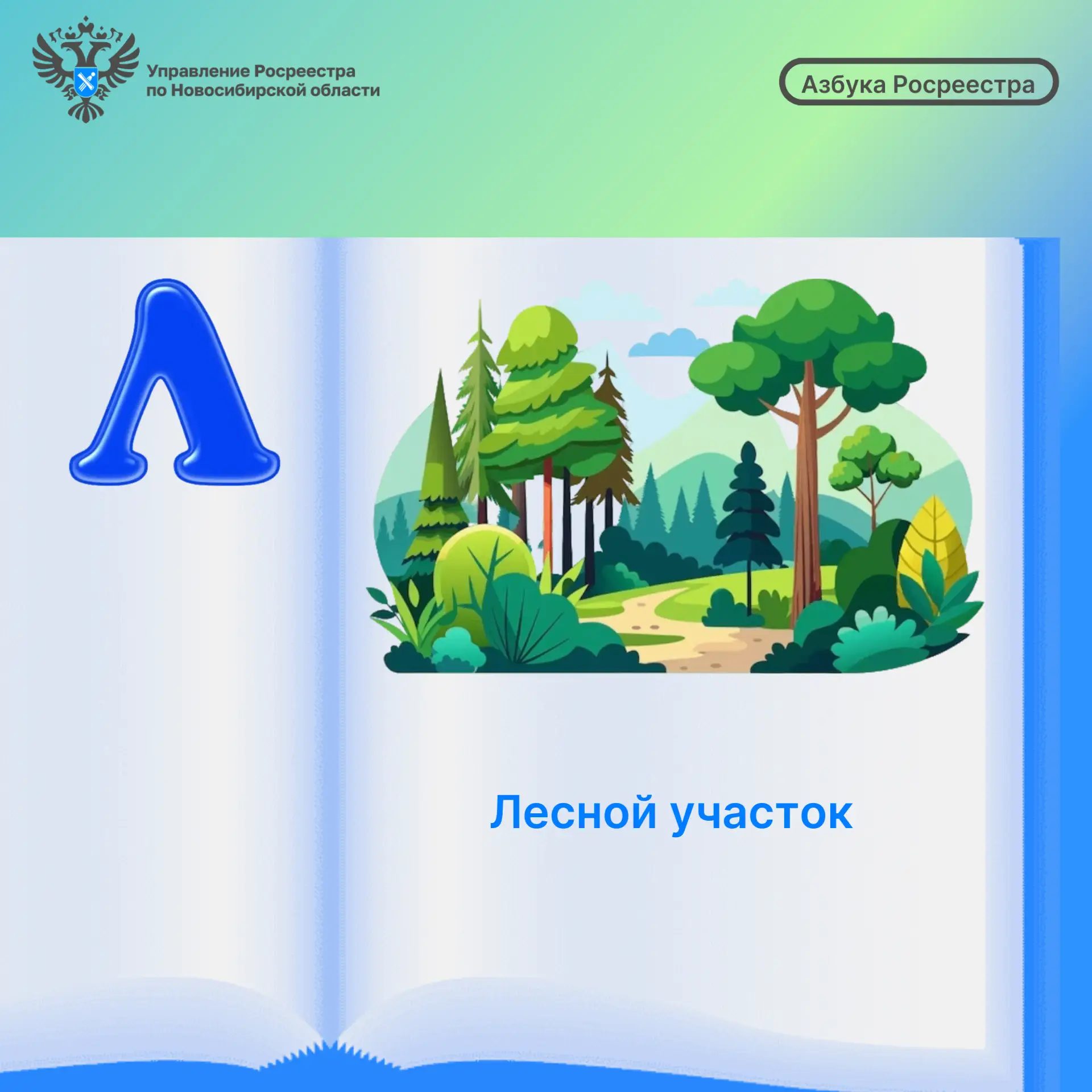 🌲 Лесным участком является земельный участок, который расположен в границах лесничеств...