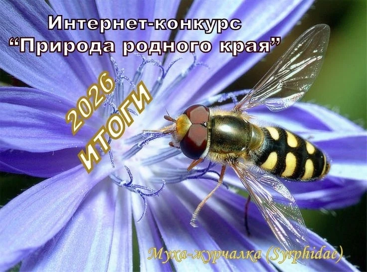 🌲🌳 Сколько тайн и загадок таит в себе наша природа - убедились участники областной он...