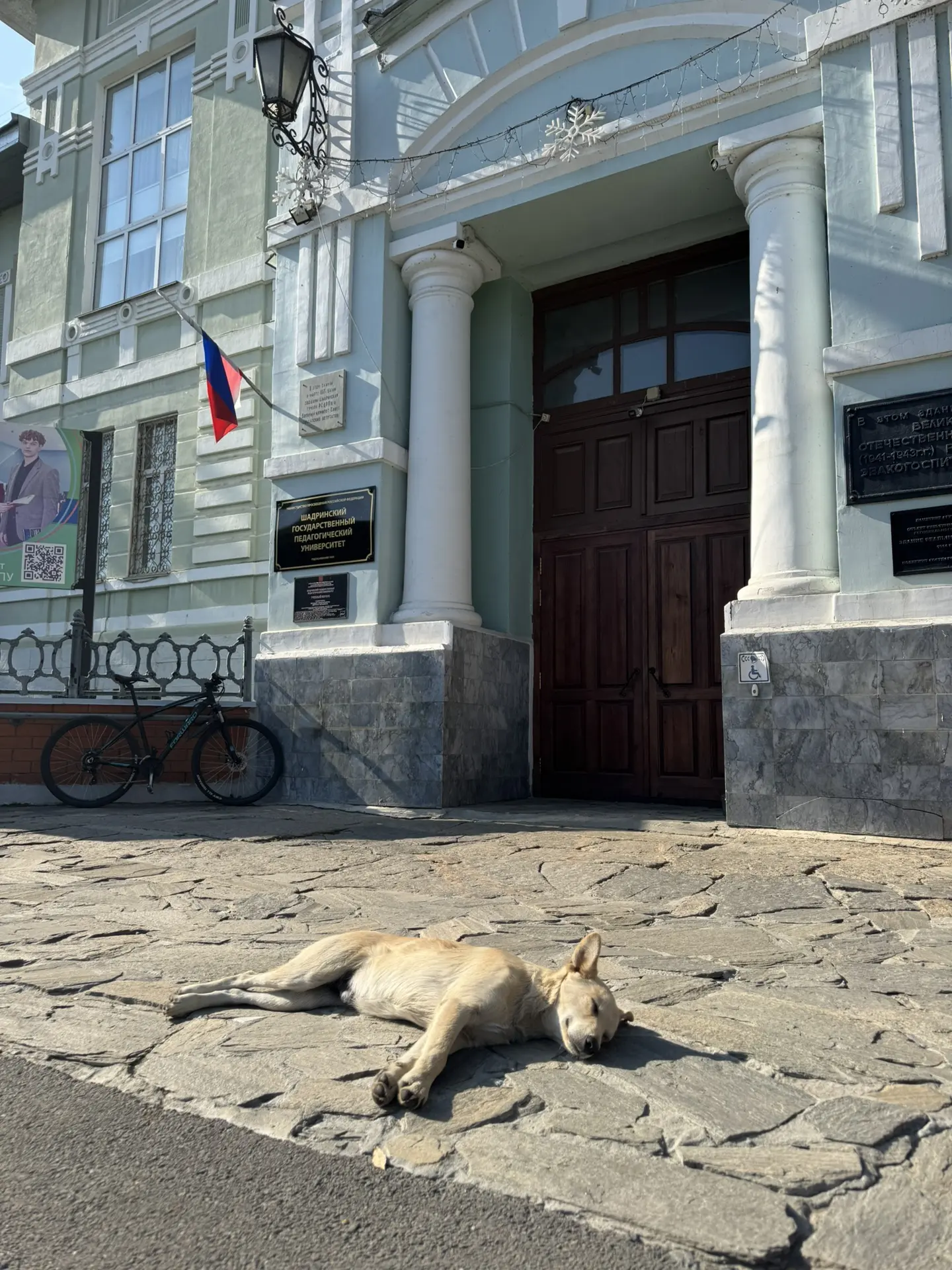 Возле главного корпуса обнаружен прогульщик, и у него лапки 🐾