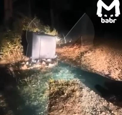 В Приангарье иркутские медведи снова вышли к людям — одного застрелили 😯