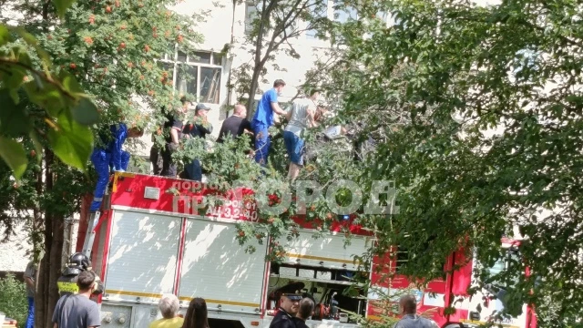 В Чебоксарах парень упал с высоты девятого этажа

Фото: народного корреспондента. Автор: Симикова По