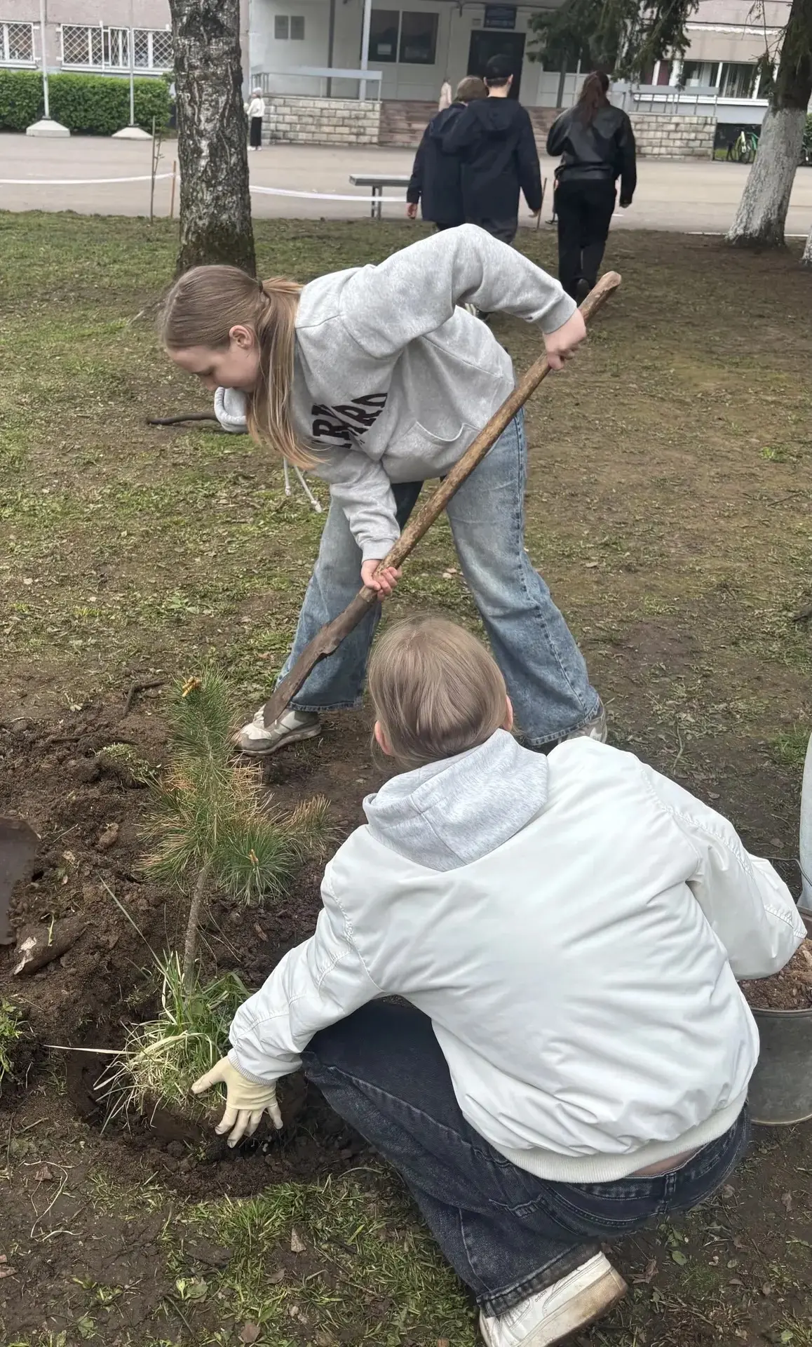🌱 Зелёная весна в нашей гимназии — не просто слова, а реальные дела! 🌱    Ура! Мы не сидели сложа ру