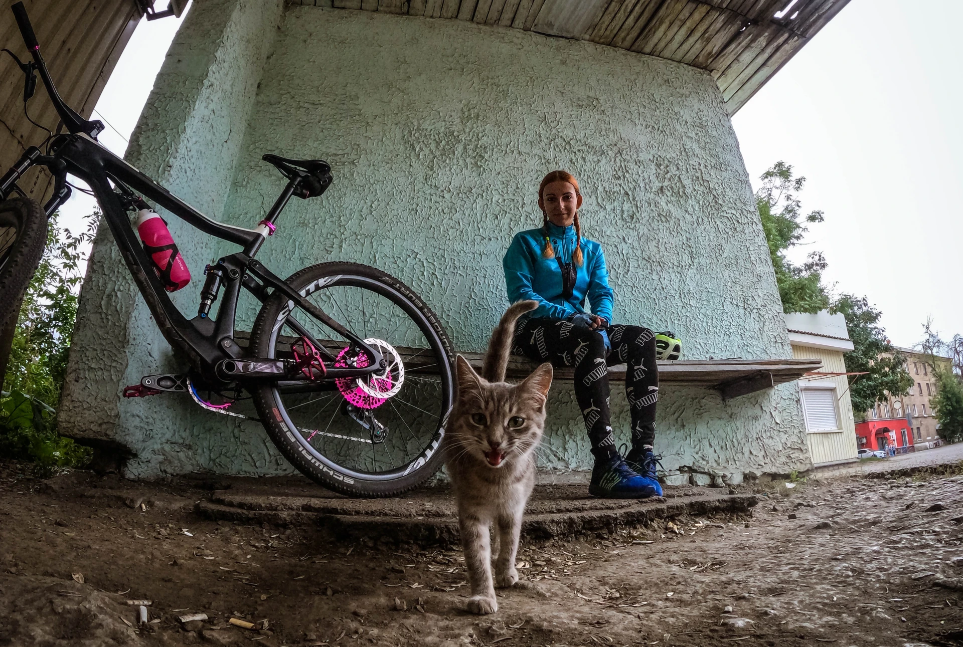 🐱🦁🐅Бывает просто приезжаешь в те же самые места но встречаешь вот такого котика и уж...