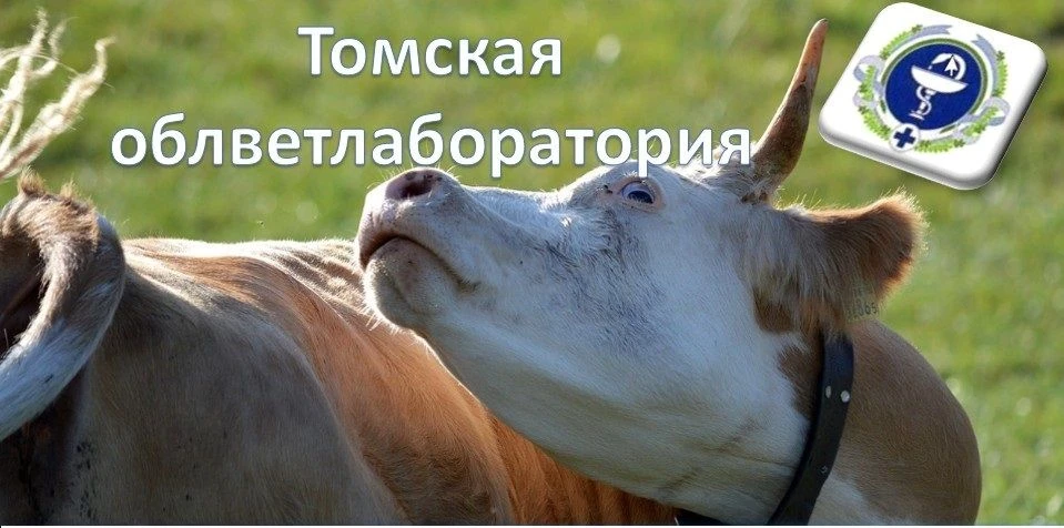 Российскому животноводству необходимо расширение лабораторной инфраструктуры для повыше...