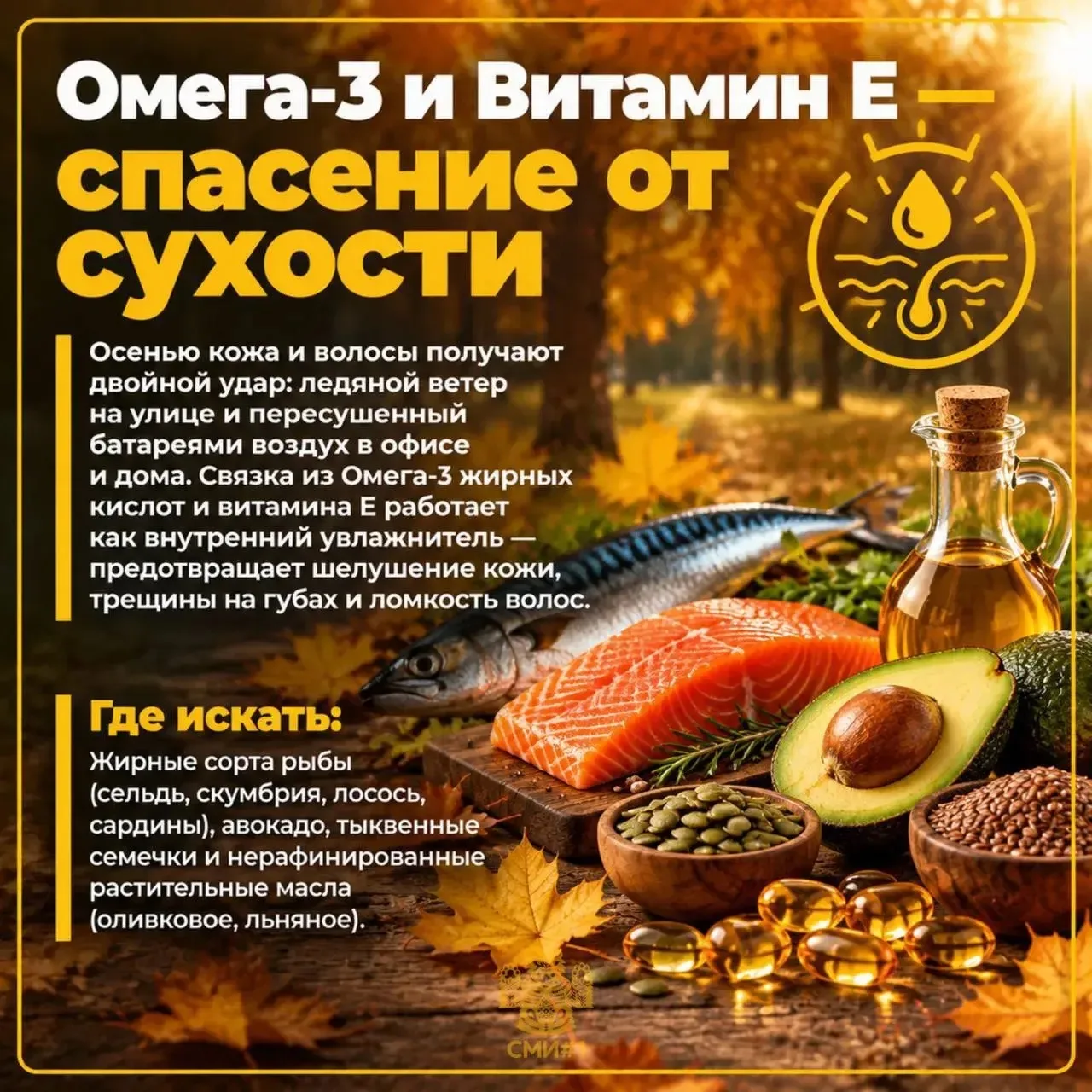🍁 Осень — время витаминов: собрали 4 главных помощника