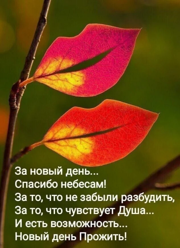 Ну, очень доброго утра!💋😘