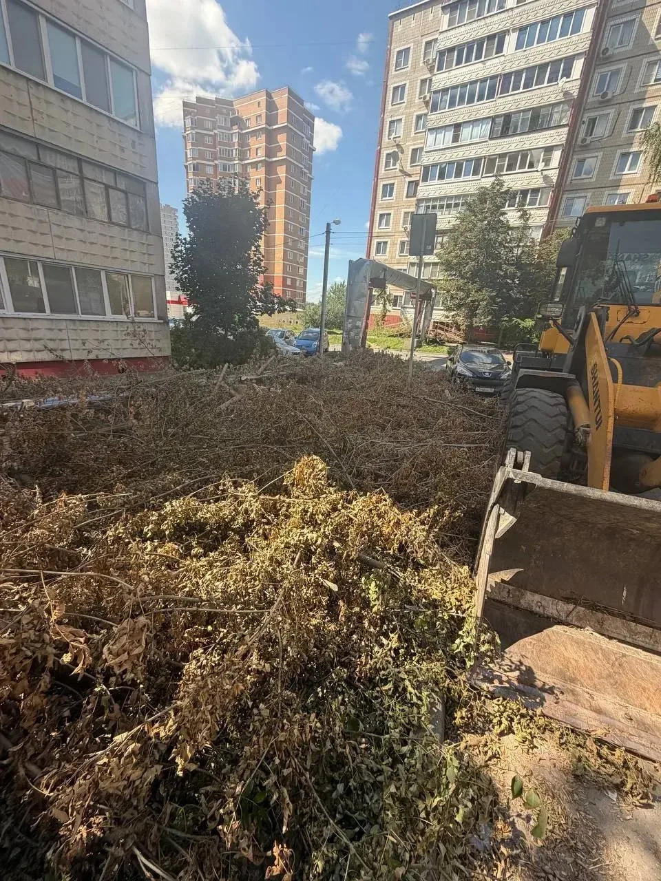 ✅Продолжаем работу по уборке несанкционированных свалок с территории контейнерных площа...