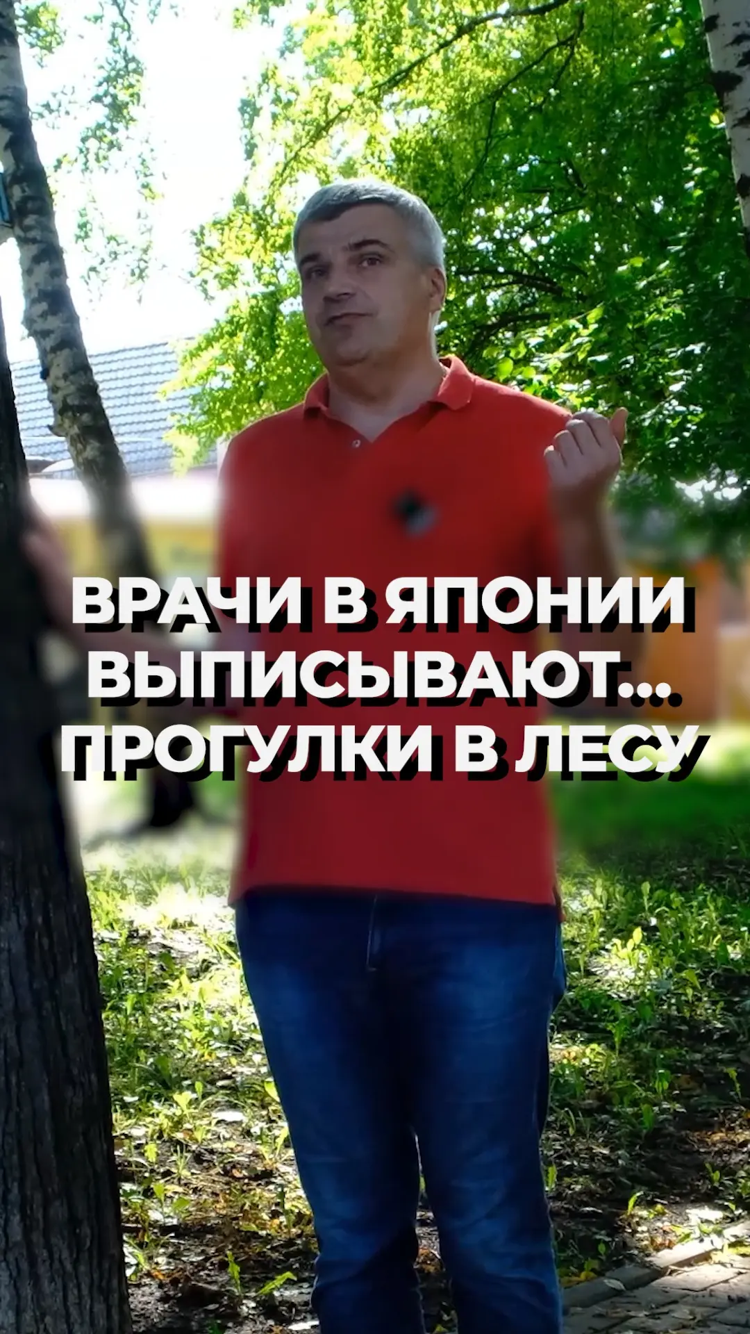 Лес как метод снижения давления — звучит как миф, но в Японии это часть медицинской пра...