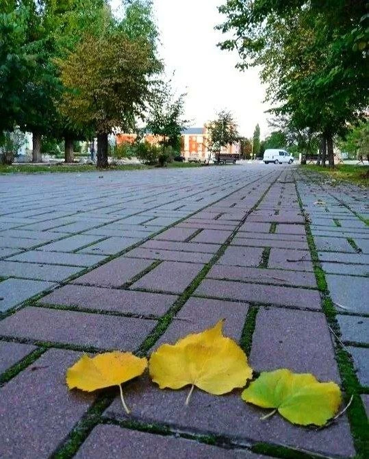 🌤🍂 Прогноз погоды на воскресенье, 4 октября: солнечное затишье и сухой осенний день