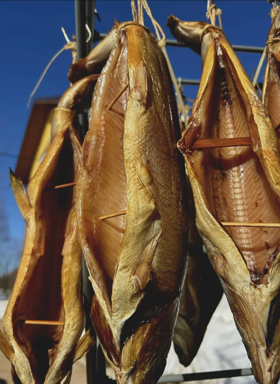 Почему в магазине — спинки, а у нас — рыбки? 🐟