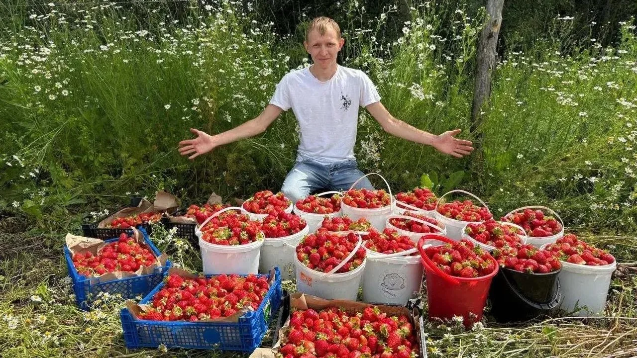 Пушкăртстанри усламçă çырла питомникне аталантарма 2,4 млн тенкĕ илнĕ
Роман Чазов предприниматель Га