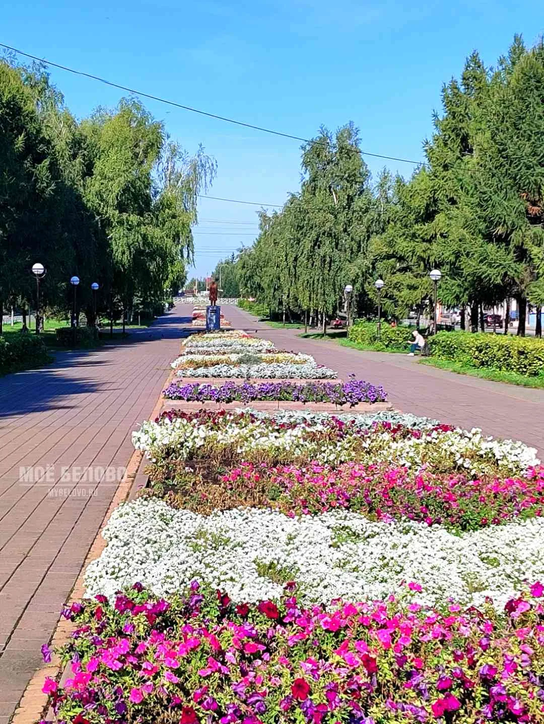 Доброе утро, друзья!