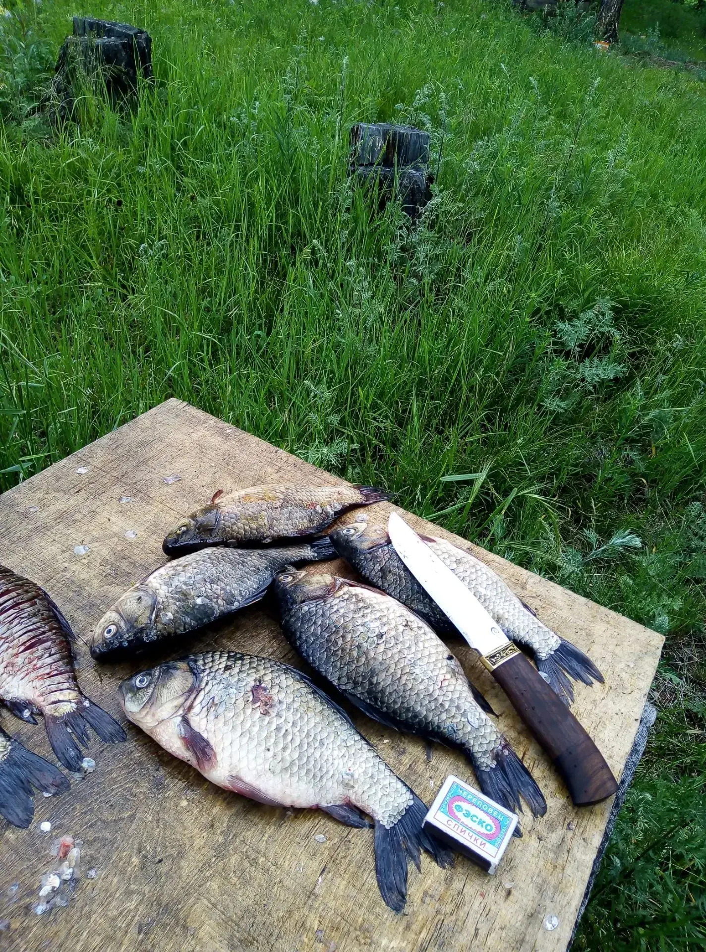 📝"Улов 🐟"

Автор📸
Владимир

Жить в России
— Любить Россию 🇷🇺

Баунт-инфо.24/7