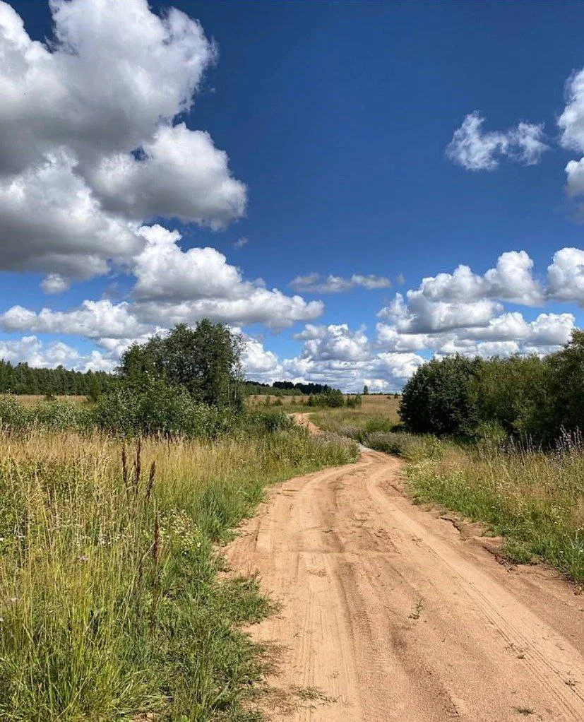 Родные деревенские просторы.. 

📍Кировская область 
📸 svetloeutro_Olga

Про деревни и уют 🍃