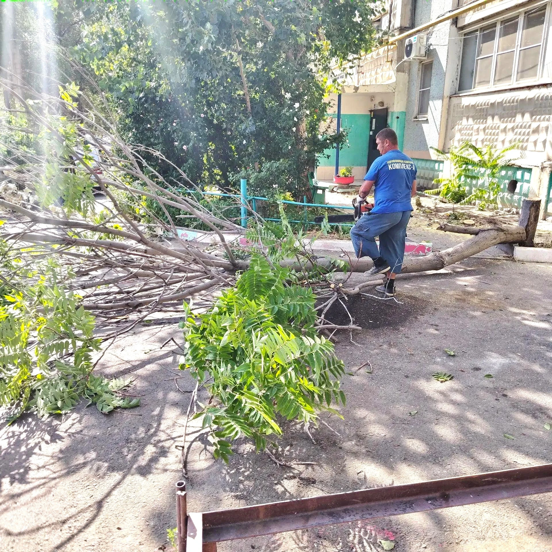 К новости «Никаких преград 🌳»