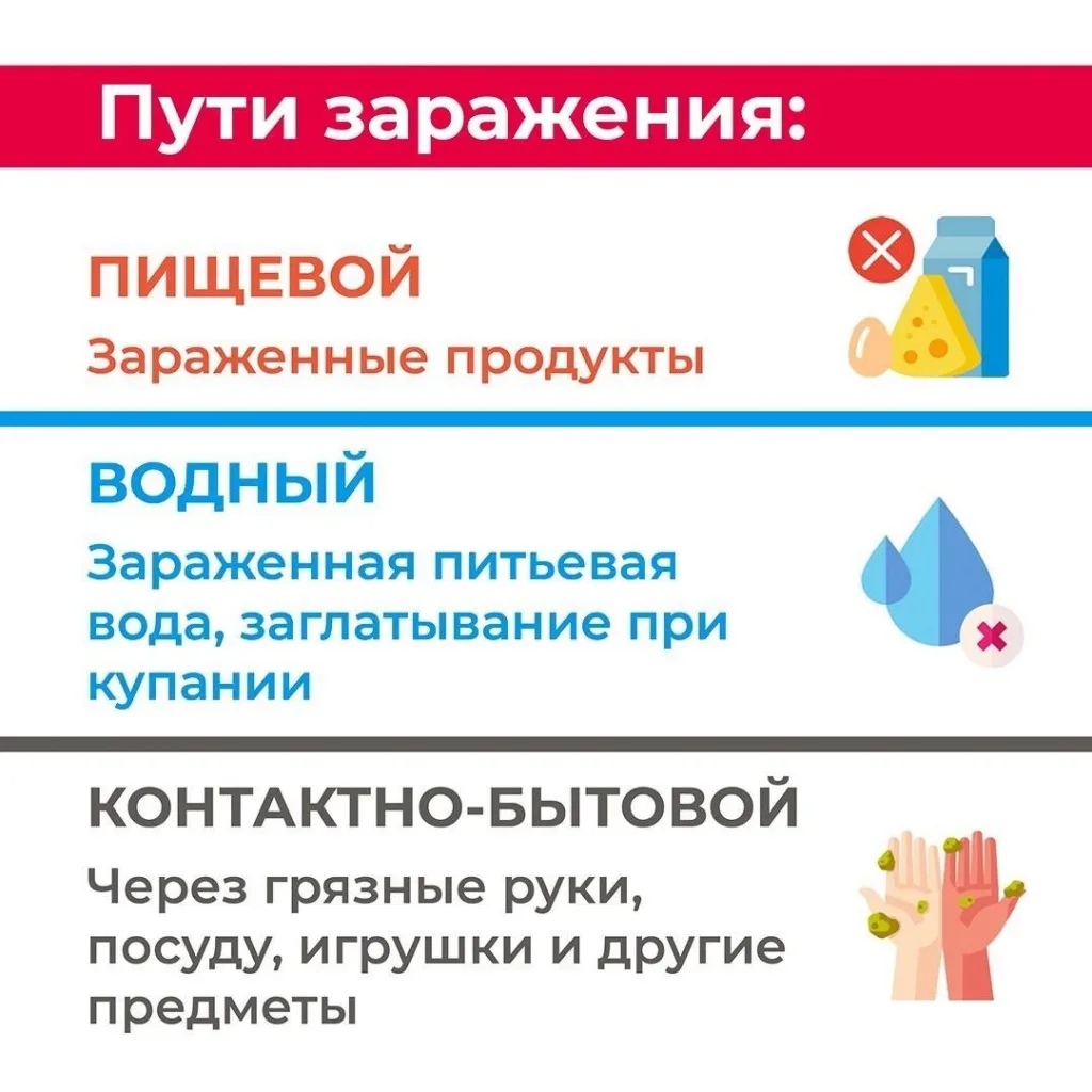 Летний период — время повышенного риска заражения острыми кишечными инфекциями (ОКИ). Это связано с 