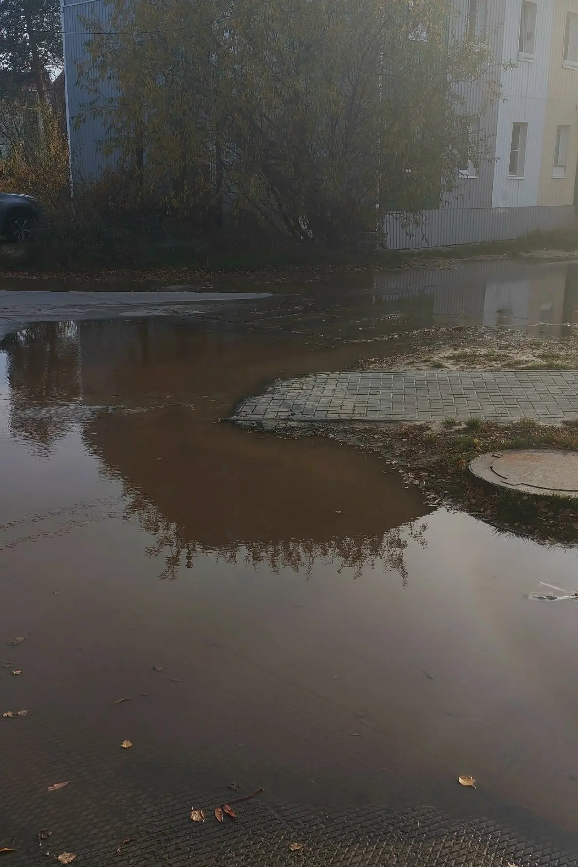 ✅ Нам пишут: Здравствуйте! Выложить пожалуйста! 12мкр 15дом бежит вода с канализации, к...