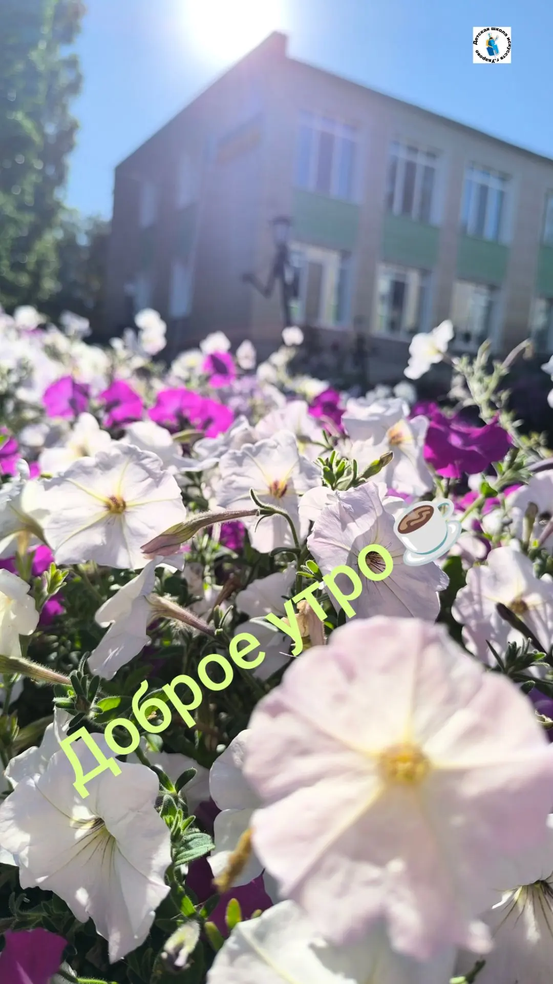 Доброе утро! Отличного дня!🌞