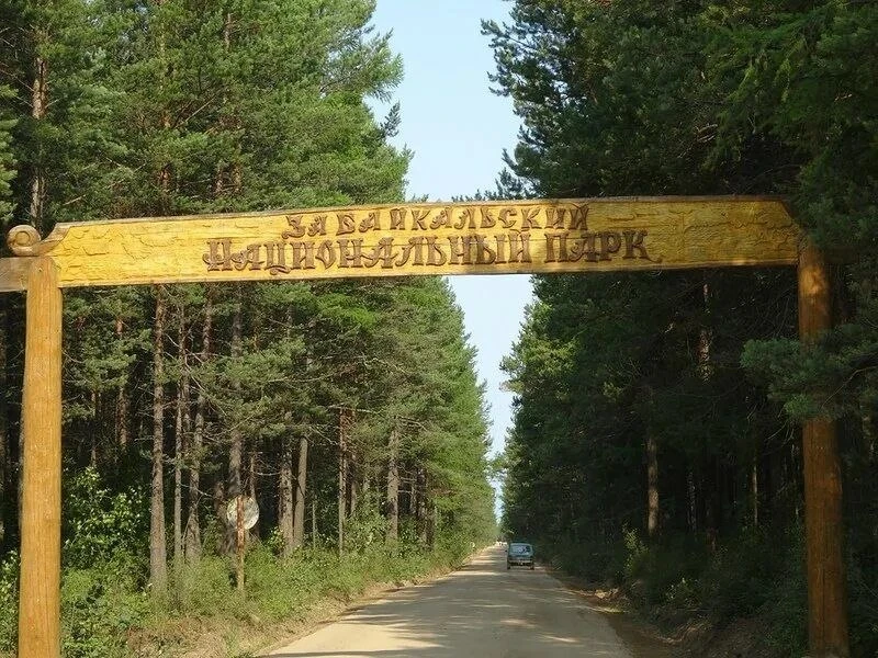 🐻Туристам придётся платить 2000 рублей в час за охранника от медведей в нацпарке Бурят...