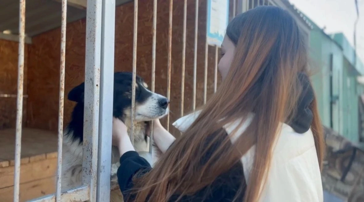 🐾 Добрый день в календаре — добрые дела в приюте!  16 апреля 2026 года, наш отряд «Волонтеры Ярослав