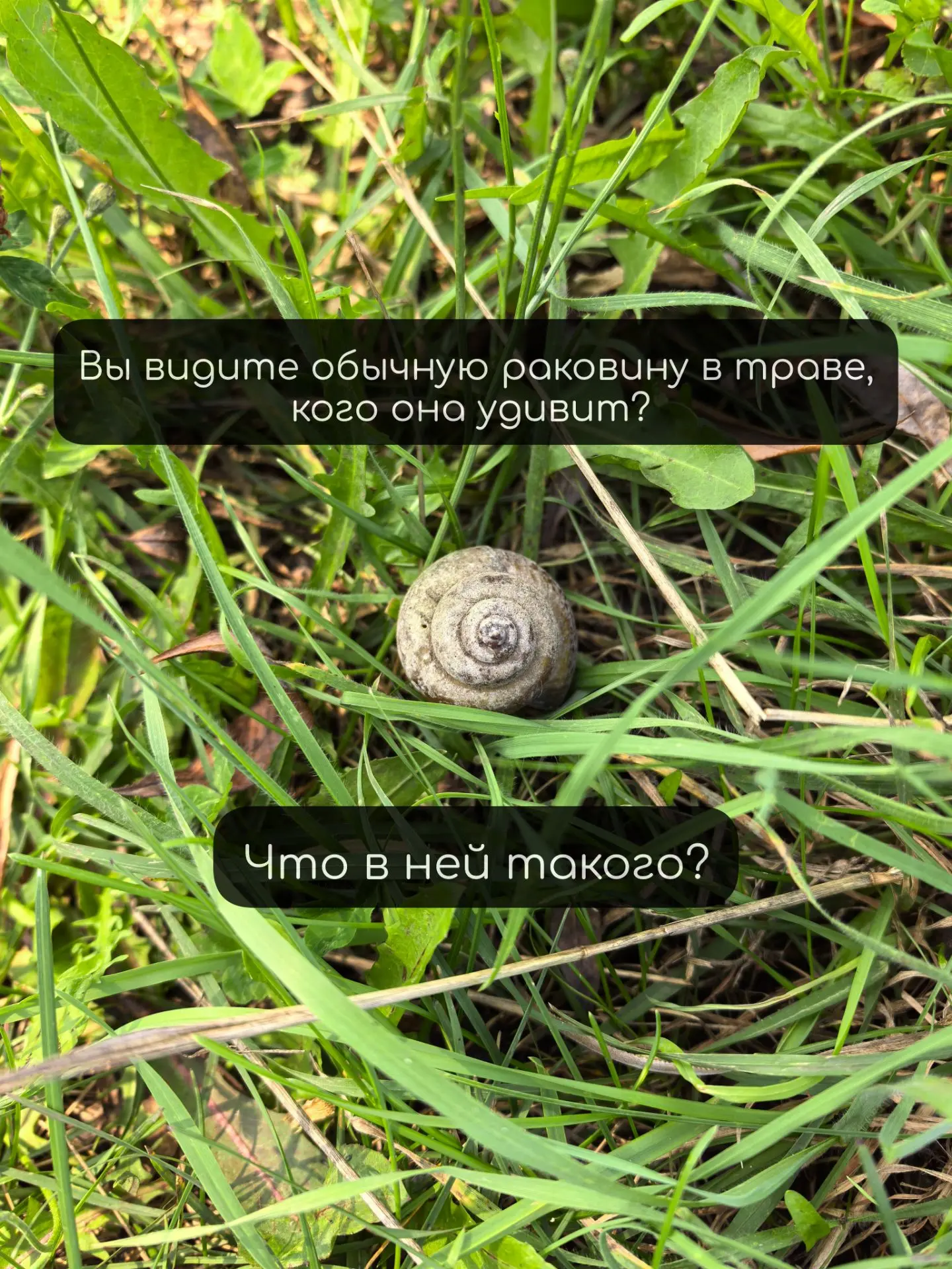 Этот мир совсем не такой, каким мы привыкли его видеть