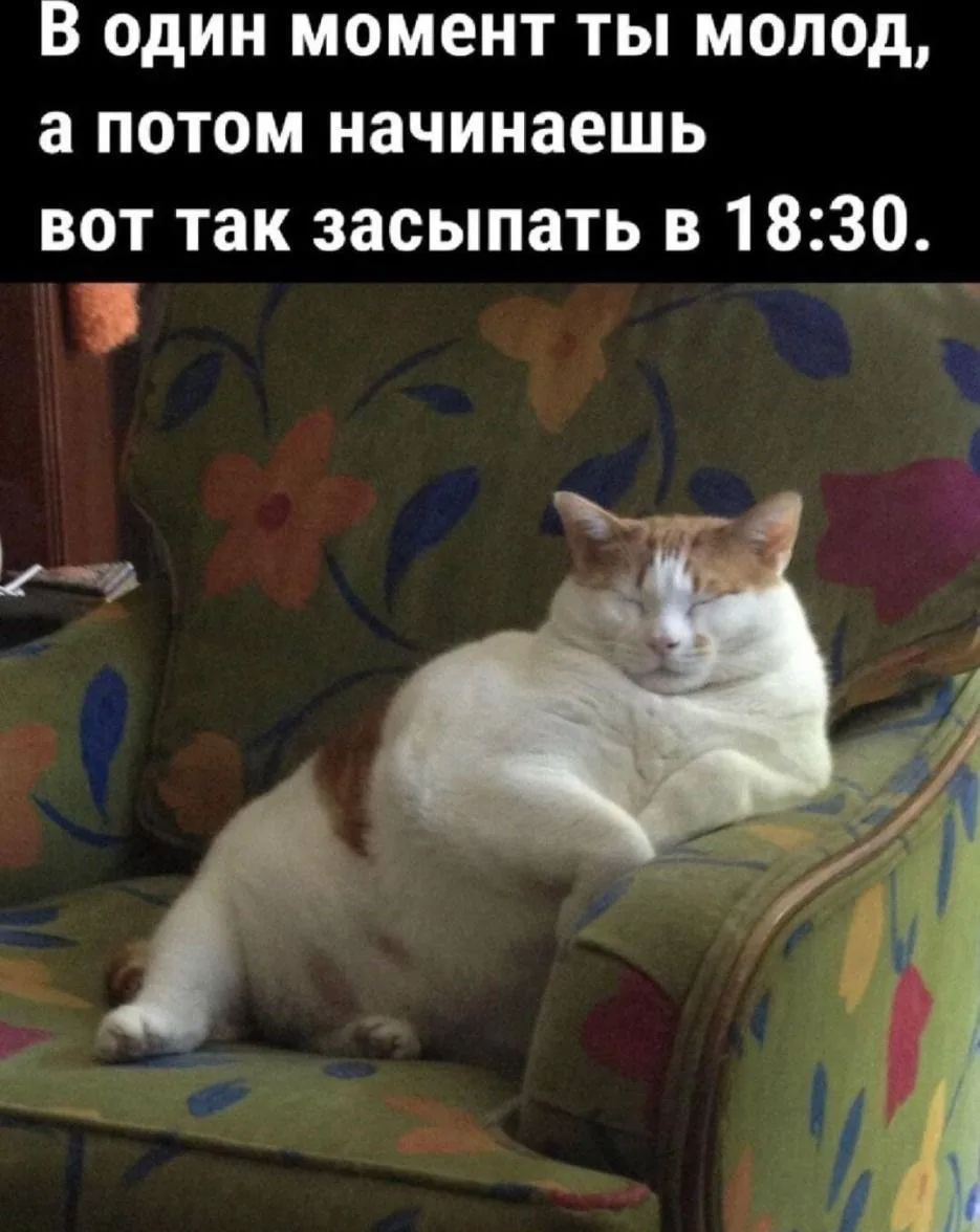 🎁Поздравления и открытки