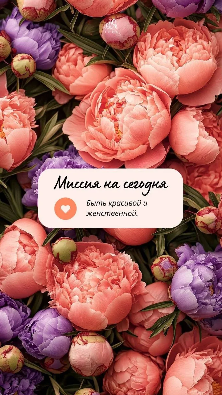 🥰 Оставляйте реакции, если понравилась открытка и делитесь с близкими ❤️

Лучшие Открытки в MAX