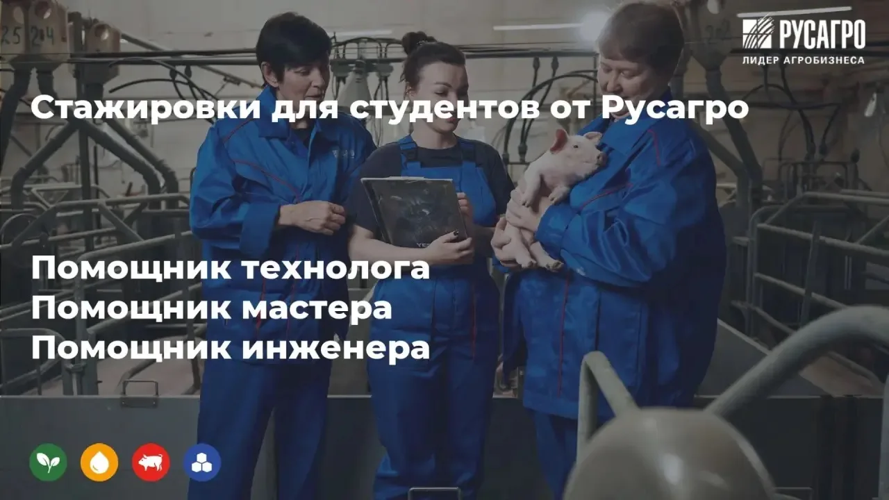 🔥 Стажировка в «Русагро»: 70 000 ₽ и карьерный рост