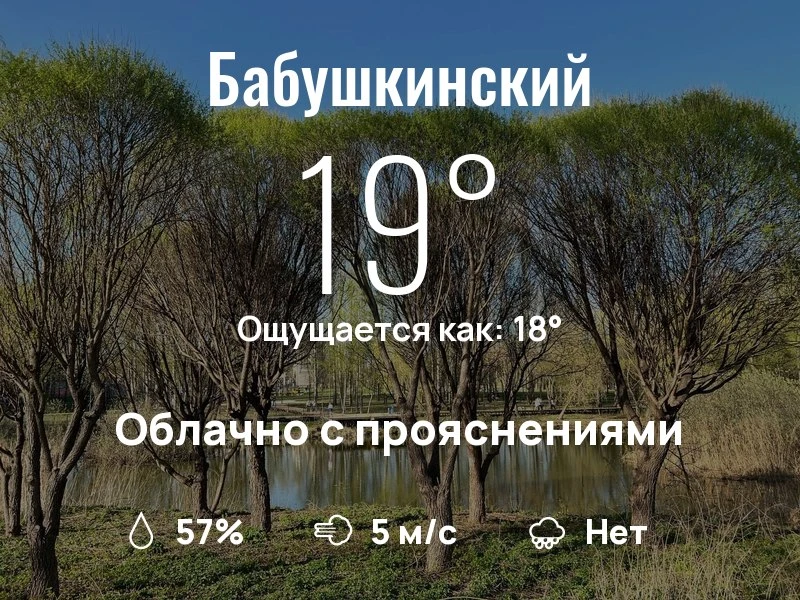 Что с погодой в Бабушкинском?