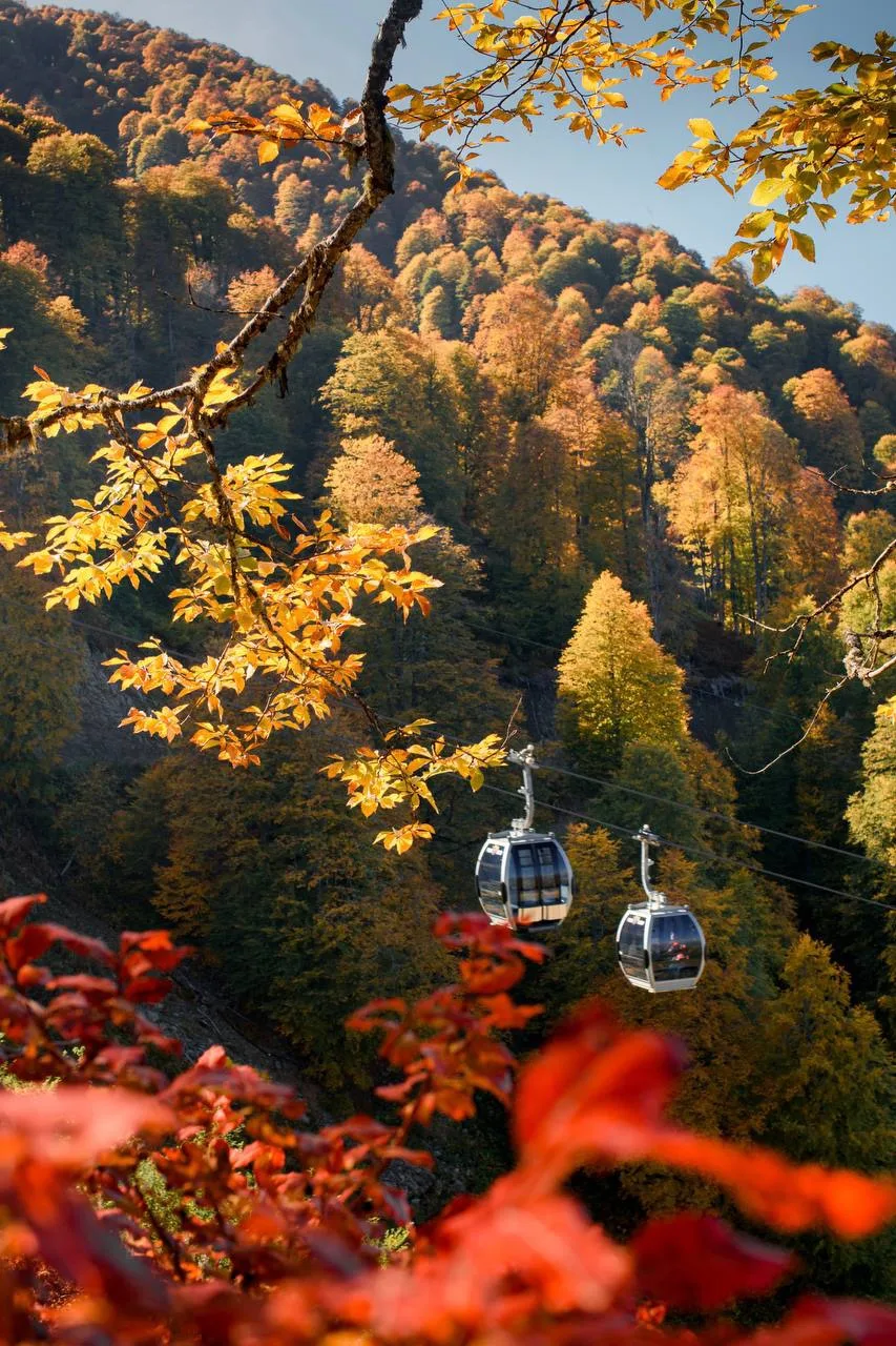 🏔️ Свои в горах: жителям Сочи, Сириуса и Абхазии — скидка 20% на «Роза Хутор»!