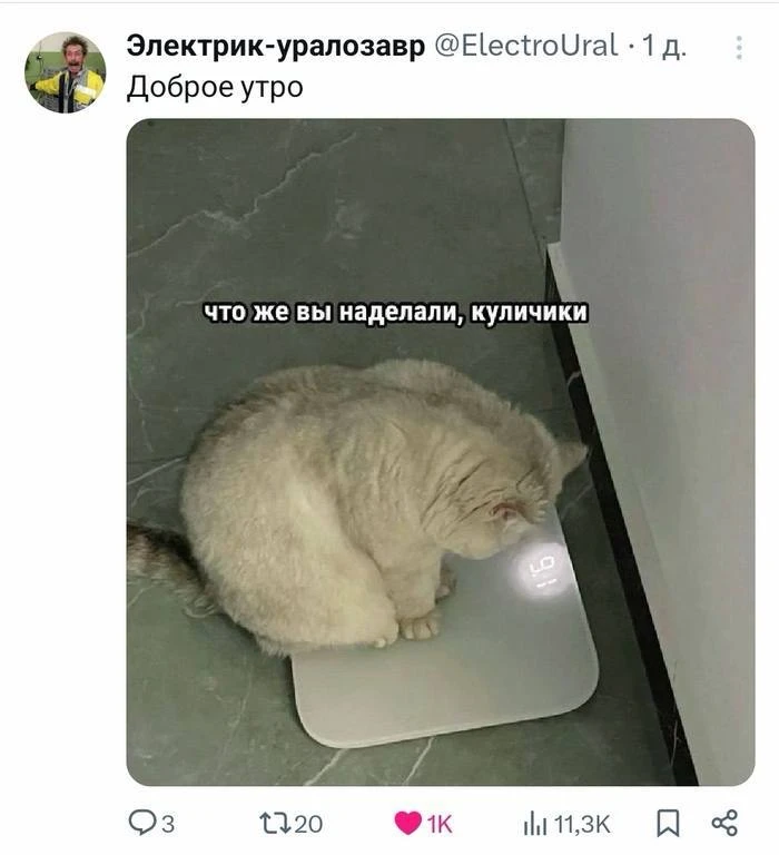 Как вы, девчонки? 🤍