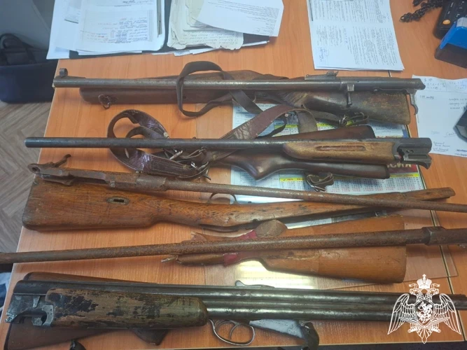 Ружья и восемь сотен патронов нашел в гараже отца житель Коми  В Республике Коми 44-летний житель Сы
